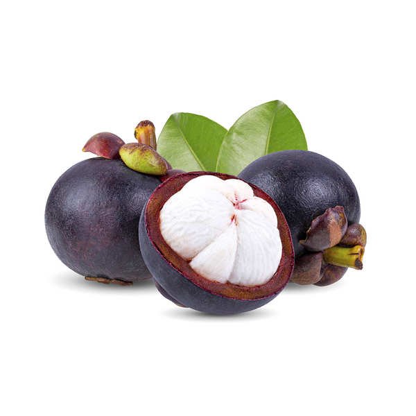 Buy best quality Mangosteen Plants produced from mother plants.
