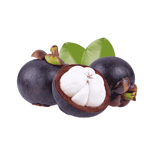 Enjoy mangosteen fruit procured directly from AgroKarts farms.