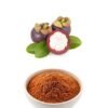 buy premium quality mangosteen rind powder from agrokarts at reasonable rate