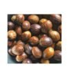 Buy quality nutmeg spice from Agrkarts at affordable rate
